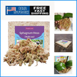 Handpicked Sphagnum Moss: 10oz Pure Plant Propagation Mix for Humidity Control Orchids