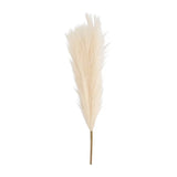 Ivory Pampas Grass, Wedding, Home Decor, 6 Pieces Pampas Grass