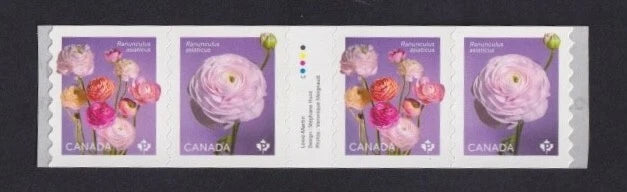 Canada Postage Scott #3374i GUTTER STRIP OF 4 COIL STAMPS RANUNCULUS FLOWER Ranunculus