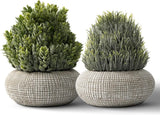 2 Pack Small Fake Plants in Cement Planter for Bathroom Decor, 6.1/5.7 Inch Arti Green Plant
