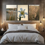 3pcs Pampas Grass, White Flower, Reed Leaves Wall Art Canvas  Unframed/Framed Pampas Grass