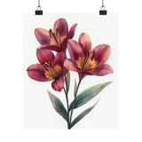Boho Burgundy Peruvian Lilies Flower Art Print Poster, Minimalist Floral Art 6 Lily