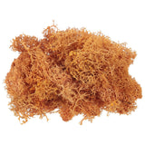 3.5 OZ Fake Moss Preserved Reindeer Moss Artificial Moss Lichen Orange Dried Flower