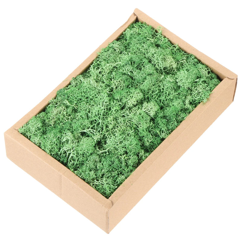 7.8oz Preserved Reindeer Moss, Green Decorative Artificial Fake Moss Green Plant