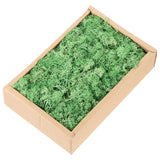 7.8oz Preserved Reindeer Moss, Green Decorative Artificial Fake Moss Green Plant