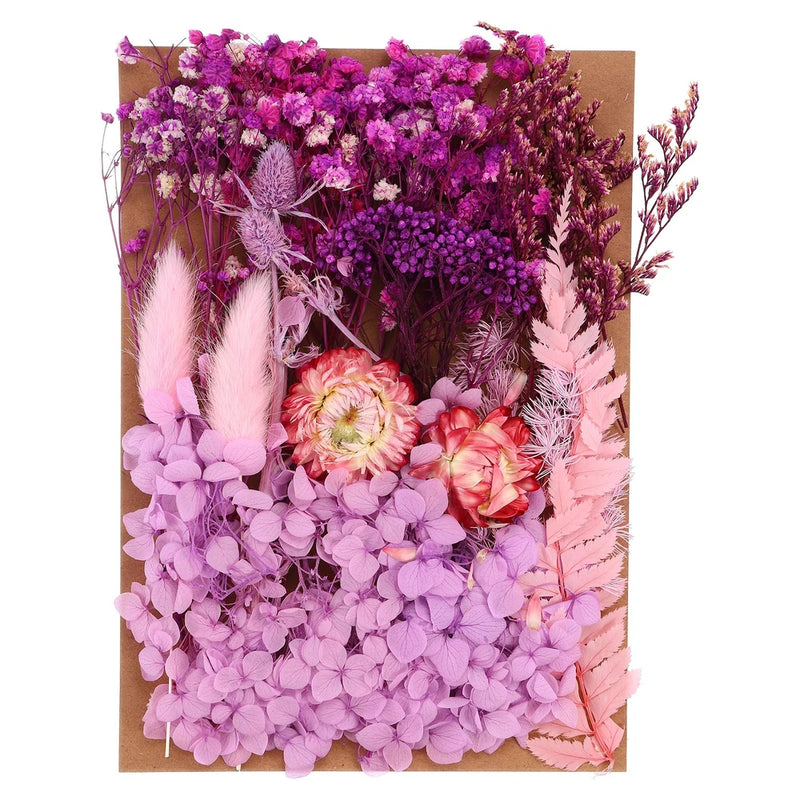 Pressed Flowers Bulk Dried Flowers Natural Pressed Flowers Leaves Light Purple Dried Flower