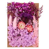Pressed Flowers Bulk Dried Flowers Natural Pressed Flowers Leaves Light Purple Dried Flower