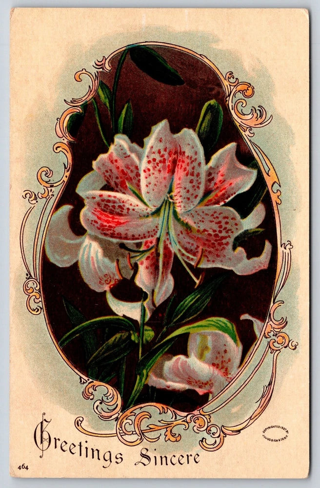 Flower Greetings~Red Spotted White Lilies In Artful Frame~c1910 Vintage Postcard Lily