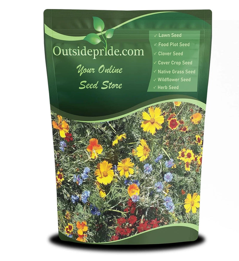 Gulf Coast Wildflower Seed Mix - 1 lb Perennial & Annual Wild Flowers for Ful... Garden Plants