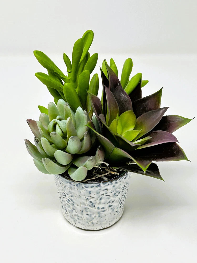 Mini 6" Artificial Purple & Green mixed Succulent Garden #13, Blue Stone Ceramic Green Plant