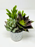 Mini 6" Artificial Purple & Green mixed Succulent Garden #13, Blue Stone Ceramic Green Plant