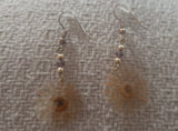 Real Hawaian Sunflower DANGLE EARRINGS PRESERVED FLOWERS Sunflower