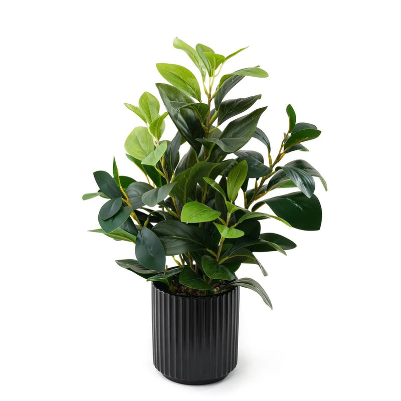 Artificial evergreen plant with green leaves in a dark ribbed pot