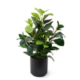 16 inch Artificial Plants Indoor Realistic Touching Evergreen Leaf Fake Plant... Green Plant