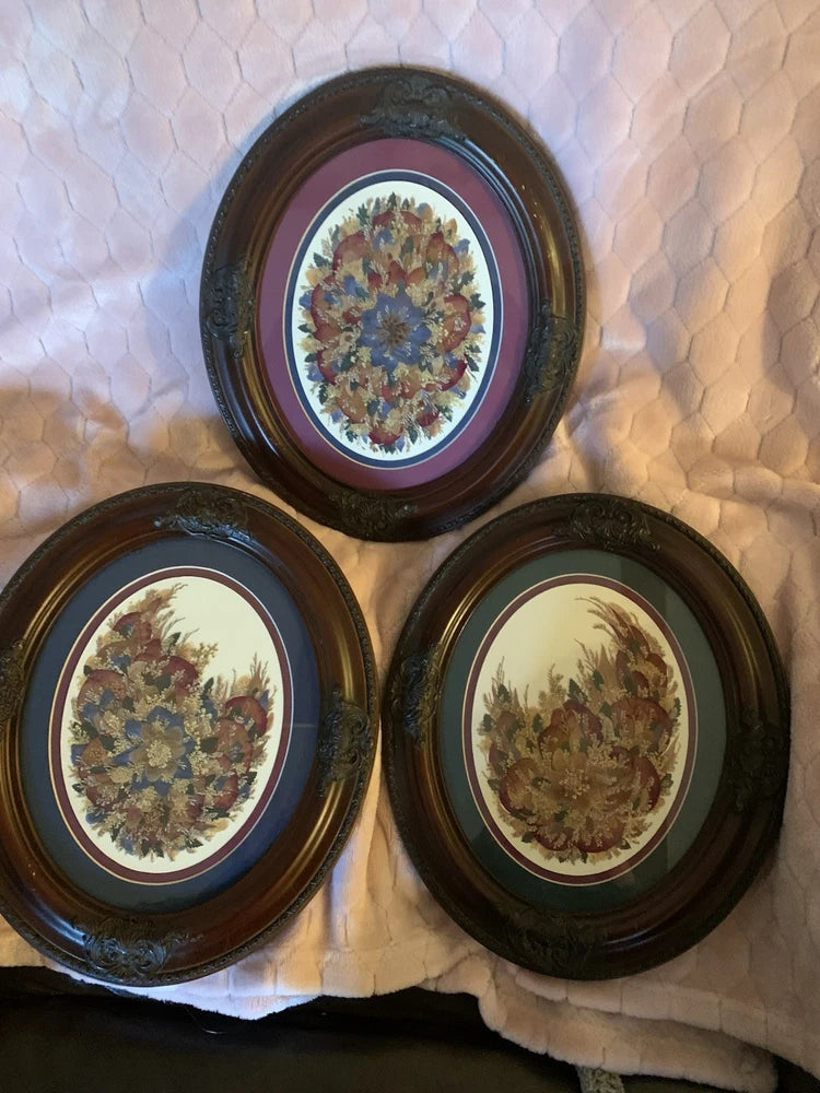 Set of 3 oval framed pressed flower wall art with colorful dried blooms