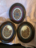 Set of 3 wall art dry and pressed flowers Dried Flower