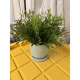 Faux Potted Plant Office Home Decor Green Gray Interior Design Green Plant