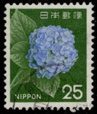 JAPAN 882 - Cultural Heritage "1966 Hydrangea Flowers" (pc50245) Hydrangea