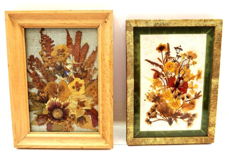 Vintage set of 2 framed dried flower displays with wood frames and glass fronts