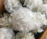 Vintage Millinery  Carnation Flower White- For One Carnation