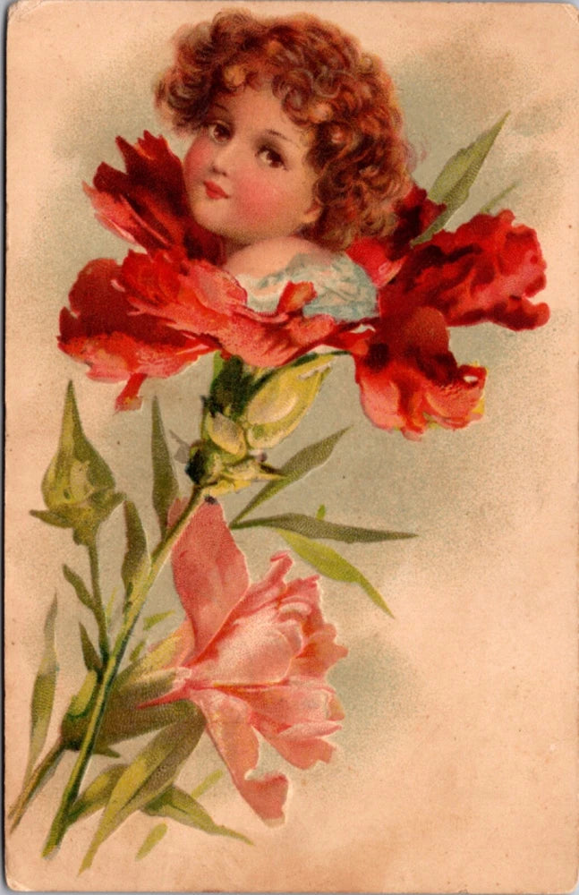 Postcard Young Childs Face Inside Carnation Flower Carnation