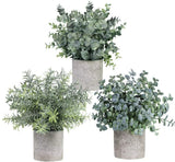 3 Mini Potted Artificial Eucalyptus Plants Plastic Fake Green Rosemary Plants Green Plant