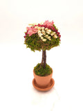 Handmade umbrella-shaped dried flower topiary with pink blooms, mossy tree, terracotta pot
