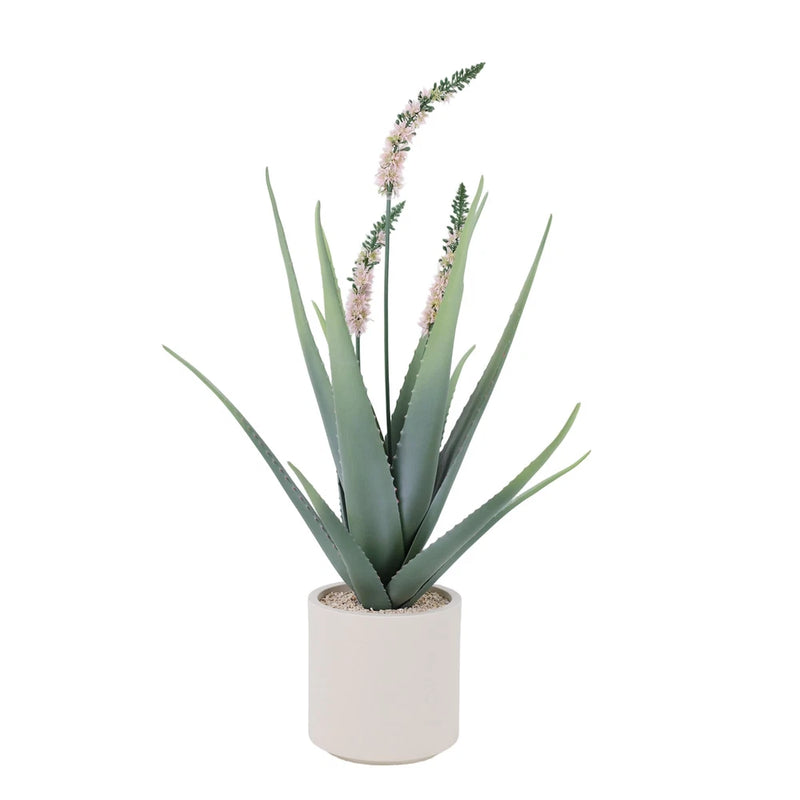 Artificial potted desert cactus with tall pink flower spikes in a white planter