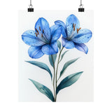 Boho Blue Peruvian Lilies Flower Art Print Poster, Minimalist Floral Wall Art 5 Lily
