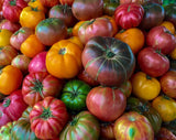 (20) MIXED HEIRLOOM TOMATO MIX Tomato Seeds plants garden Garden Plants