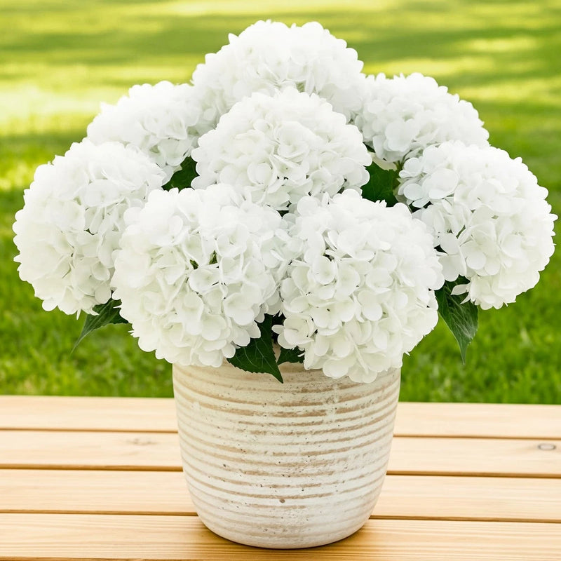 6 Bundles Hydrangea Artificial Flowers for Outdoors and Indoor, Bulk 30 Heads... Hydrangea