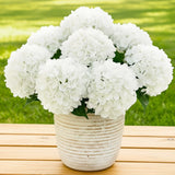 6 Bundles Hydrangea Artificial Flowers for Outdoors and Indoor, Bulk 30 Heads... Hydrangea