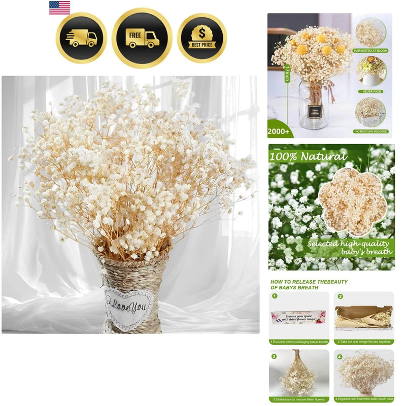 Dried baby's breath flower bouquet with many small white blooms in rustic vase