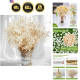Dried Baby's Breath Flowers Bulk Vase Fillers Wedding Decor DIY Crafts Dried Flower