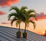 8-9 Ft Tall Artificial Palm Tree For Outdoor/Indoor Use Easy To Assemble USA Green Plant