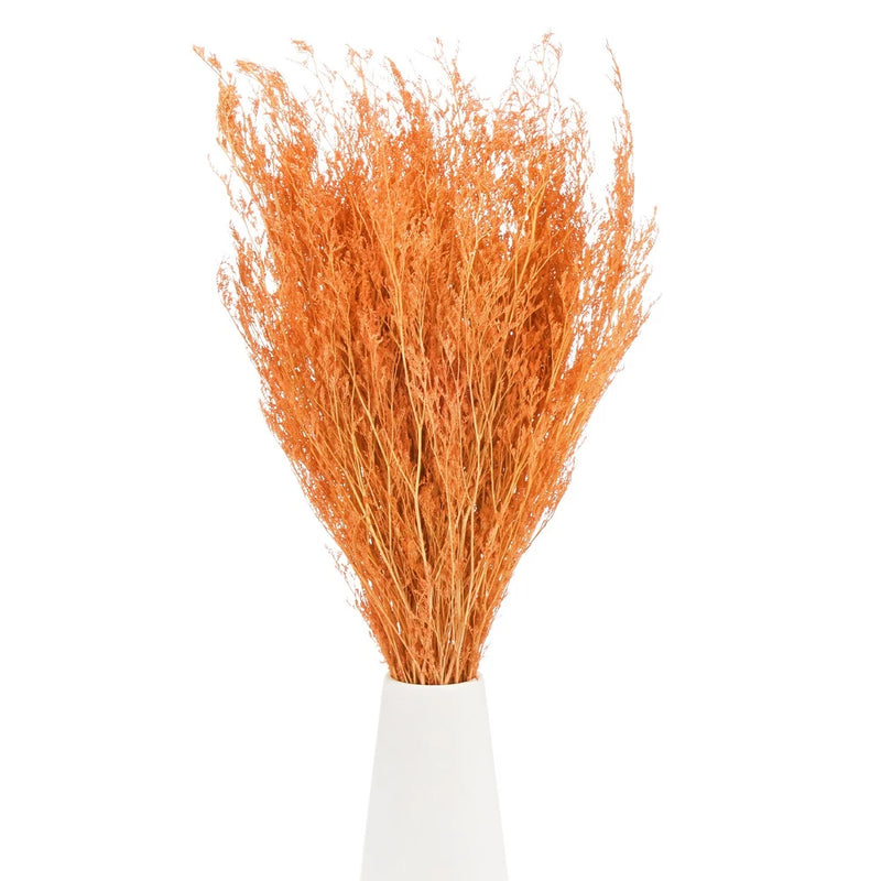 Orange dried flower bouquet with airy limonium-style stems