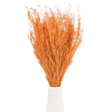 Dried Flowers Bouquet 17" Dry Limonium Flower Bundle [Orange, 120g] Dried Flower