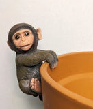 Monkey Garden Pot Hanger Flower Planter Large 6" Tall Touch of Nature NEW Garden Plants