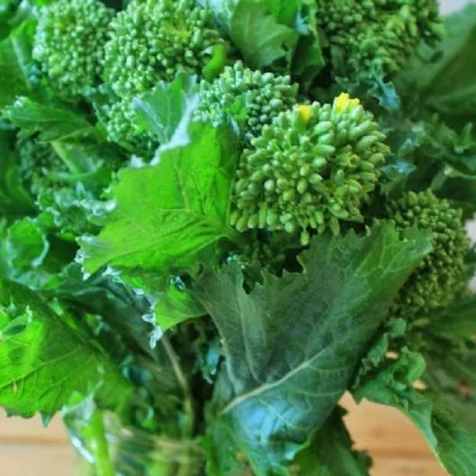 Broccoli Early Fall Raab Rapini 300 - 4000 Seeds Microgreens Sprouting Garden Garden Plants