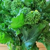 Broccoli Early Fall Raab Rapini 300 - 4000 Seeds Microgreens Sprouting Garden Garden Plants