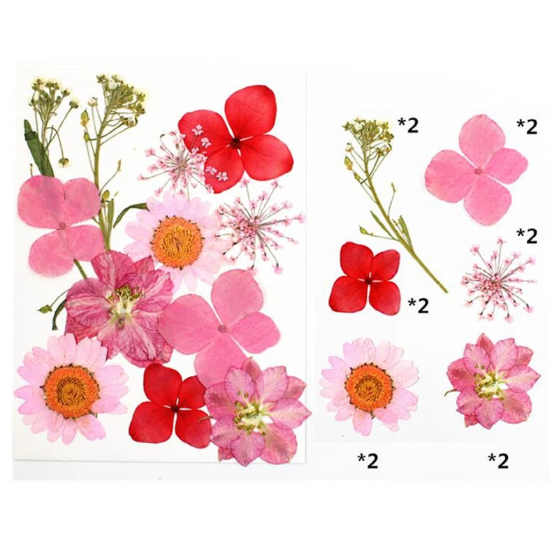 Assorted dried flowers set with pink, red, and orange blossoms for resin crafts