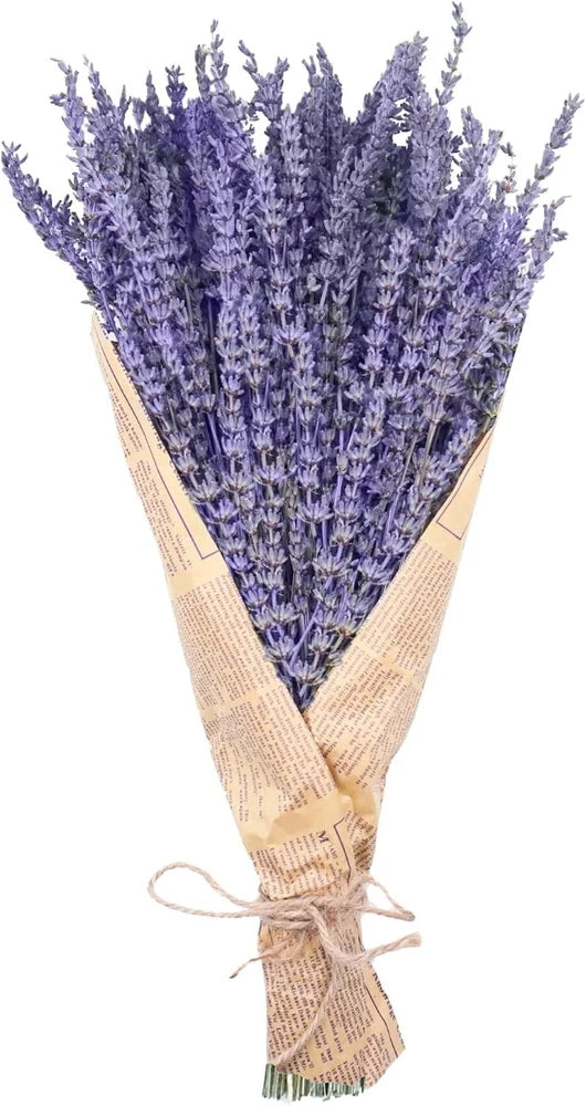 Uieke Dried Lavender Bundles, Natural Flowers 150 Stems 1PCS Dried Flower