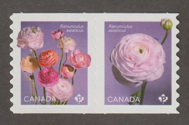 Canada 2023 Ranunculus - MNH se-tenant pair from coil Ranunculus