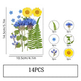14PCS Real Pressed Dry Flower collection, yellow Flower with leaf stem FSS505 Dried Flower