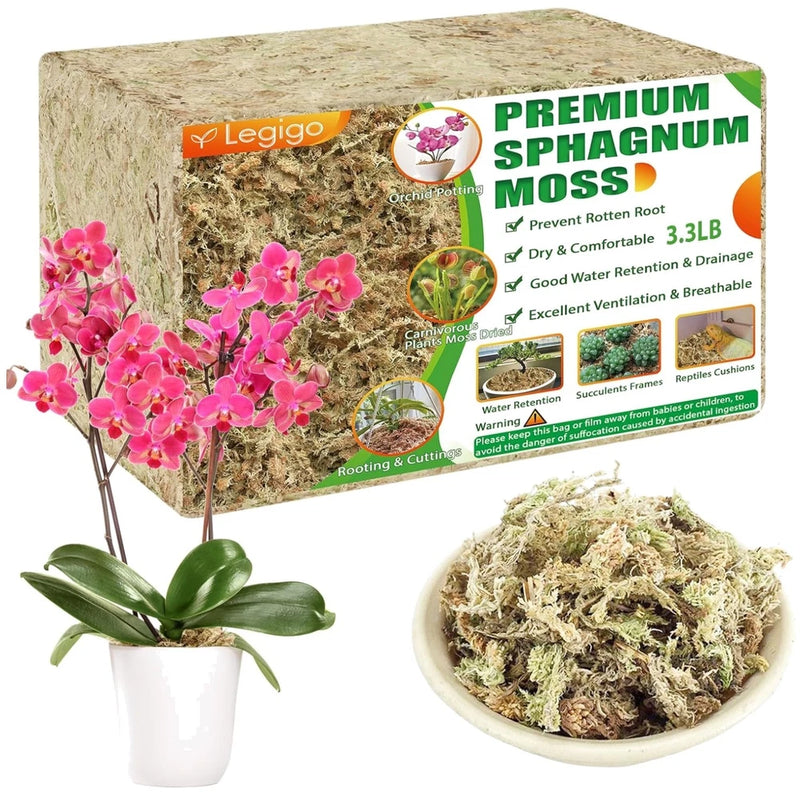 Sphagnum moss for plants, 3.3 lb; packaged moss and loose moss in bowl
