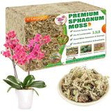 Sphagnum Moss for Plants - 3.3lbs Orchids
