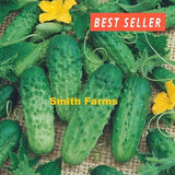 15+ Seeds Patio Pickle Cucumber Easy Vegetable Garden Planting Edible Garden Plants