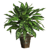 Silver King w/ Basket Silk Plant Green Plant