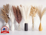 Hierba De Pampa 110PCS Flores Secas Hierba De Ca–a Hierba De Cola De Conejo NEW Pampas Grass