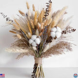 Natural Dried Flower Bouquet - Pampas Grass, Cotton, Bunny Tails, Eucalyptus, Pampas Grass